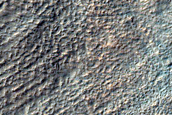 Slope Features in Newton Crater