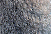 Gully Monitoring