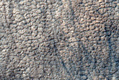 Scalloped Depressions