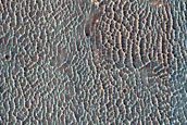 Proposed Site for Future Exploration in Capri Chasma