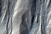 Gullied Crater Wall