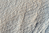 Terrain Sample
