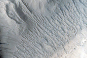 Avernus Colles