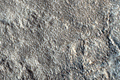 Terrain Sample