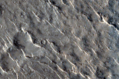 Terrain Sample