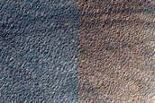 Terrain Sample