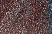 Terrain Sample