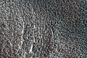 Terrain Sample