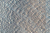 Monitoring New Impact Site 