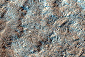 Terrain Sample