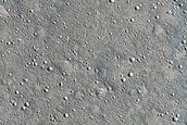 Elysium Planitia