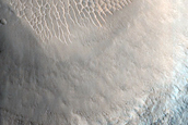 Terrain Sample