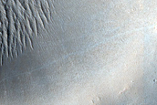 Terrain Sample