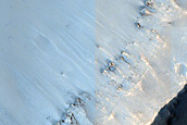 Terrain Sample