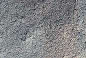 Terrain Sample