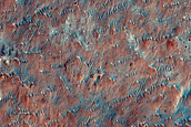 Holden Crater and Eberswalde Crater Basin