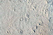 Marte Vallis