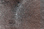 Terrain Sample
