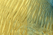 Bedrock Exposure on Crater Floor
