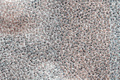 Terrain Sample