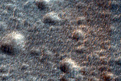 Terrain Sample