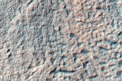 West Facing Gullies in Infilled Crater
