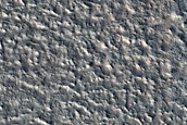 Terrain Sample