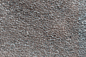 Terrain Sample
