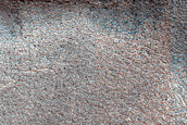 Terrain Sample