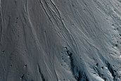 Gully Monitoring