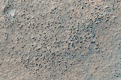 Terrain Sample