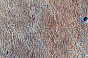 Syria Planum and Claritas Fossae Dust-Raising Event Monitoring Site