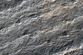 Terrain Sample