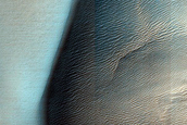 Dune with Seasonally Persistent Light-Toned Features