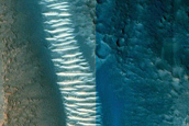 Context Camera Stereo Image