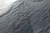 Gullies on South-Facing Wall of Lozenge-Shaped Crater