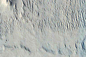 Terrain Sample