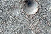 Monitoring Dust Devil Tracks