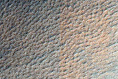 Terrain Sample