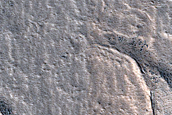 Terrain Sample