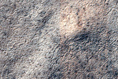 Terrain Sample