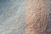 Terrain Sample