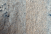Terrain Sample