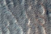 Terrain Sample