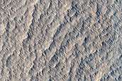 Terrain Sample