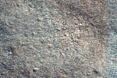 Terrain Sample
