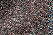 Terrain Sample
