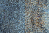 Craters in Far Western Utopia Planitia