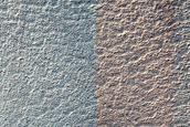 Terrain Sample