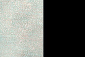 Terrain Sample